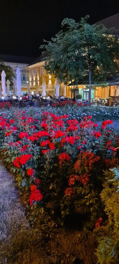 Ales Apartman Сомбор Экстерьер фото